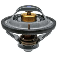 Termosztát New Holland, Case IH, Steyr Termosztát New Holland, Case IH, Steyr